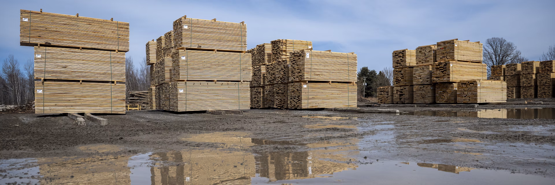 Canadian lumber waits for shipment in a sawmill’s yard. Andrej Ivanov/Getty Images
